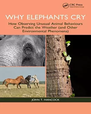 چرا فیل ها گریه می کنند